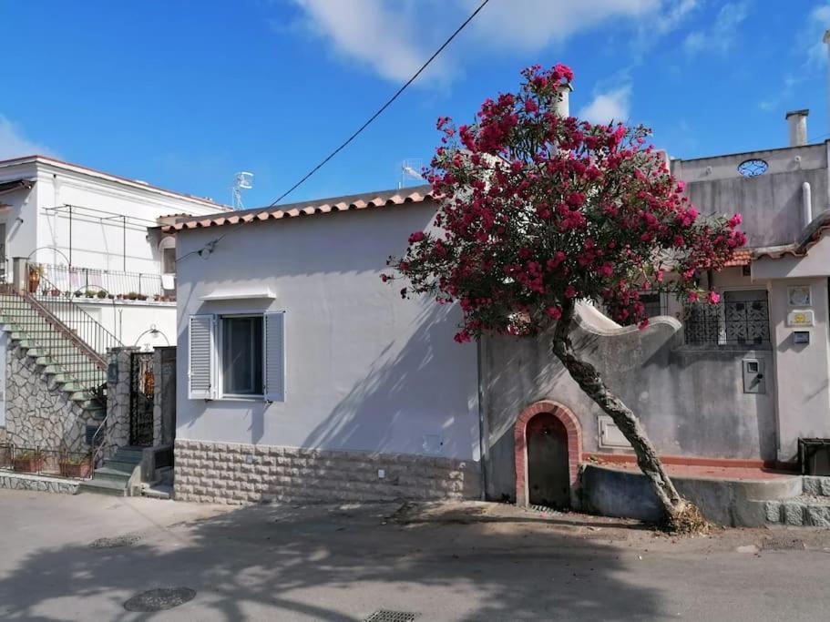 Sweet Home, Anacapri Екстер'єр фото